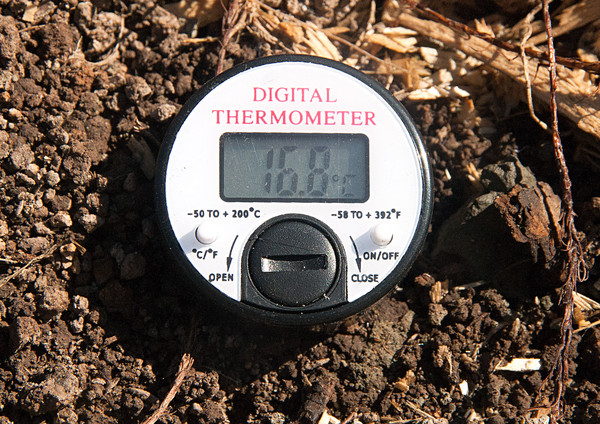 Температура почвы  на глубине 10 см.