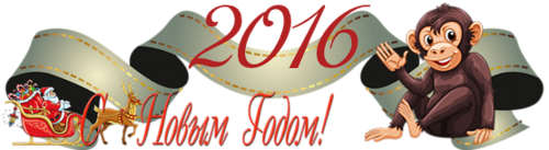 2016 СЃ РќР“ (500x137, 109Kb)